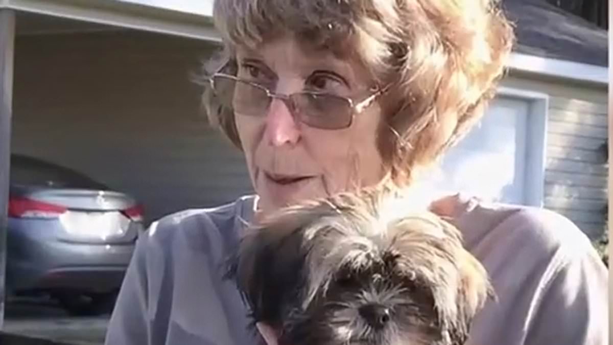 alert-–-how-‘relentless’-hero-dog-helped-save-81-year-old-owner’s-life-after-she-suffered-a-sudden-stroke