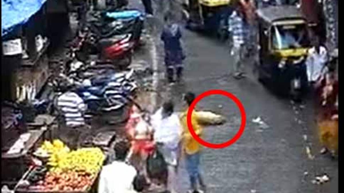 alert-–-golden-retriever-crushes-three-year-old-girl-to-death-after-the-dog-falls-from-fifth-floor-terrace-onto-the-street-below