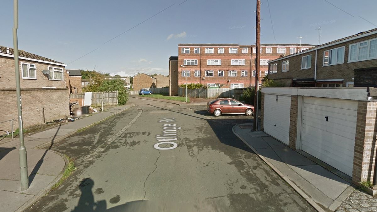 alert-–-two-schoolboys,-14,-and-man,-18,-shot-on-quiet-residential-orpington-street-as-police-hunt-gunman