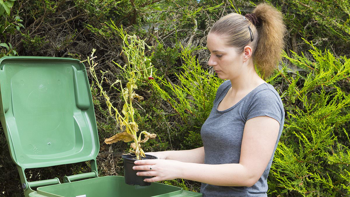 alert-–-victoria-bin-overhaul:-huge-changes-planned-for-millions-of-australians’-household-bins