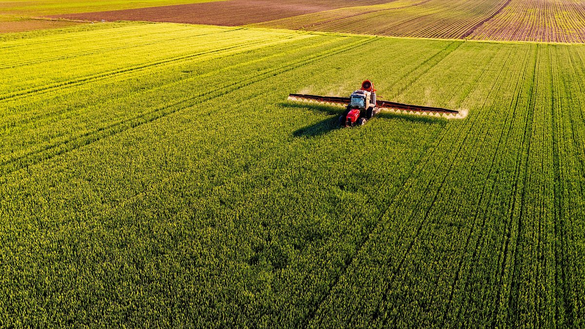 alert-–-cutting-emissions-could-cause-food-production-to-fall-by-a-quarter-as-experts-admit-there-is-a-‘strong-trade-off’