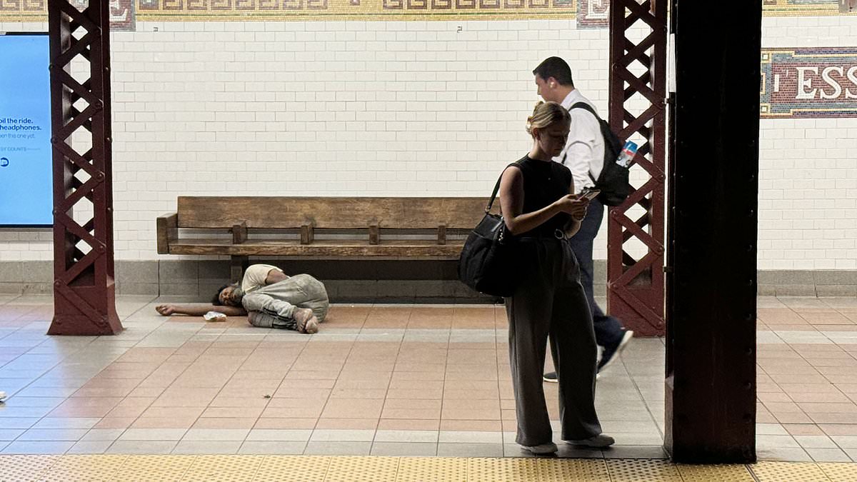 alert-–-riding-america’s-worst-train-line:-nyc-commuters-forced-to-dodge-drugged-up-zombies-and-feces-in-shocking-scenes-of-subway-squalor-and-despair