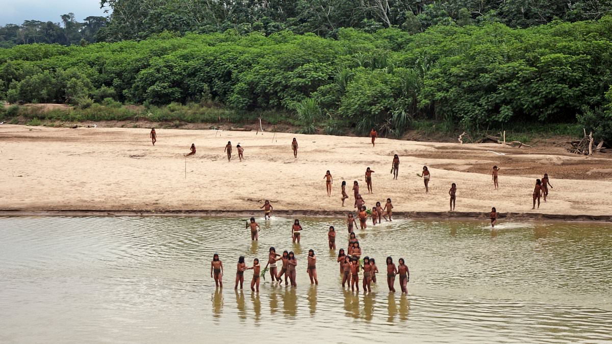 alert-–-‘uncontacted’-amazon-indigenous-tribe-uses-bows-and-arrows-to-attack-loggers-in-fight-that-left-one-injured-–-weeks-after-they-were-first-sighted-on-riverside