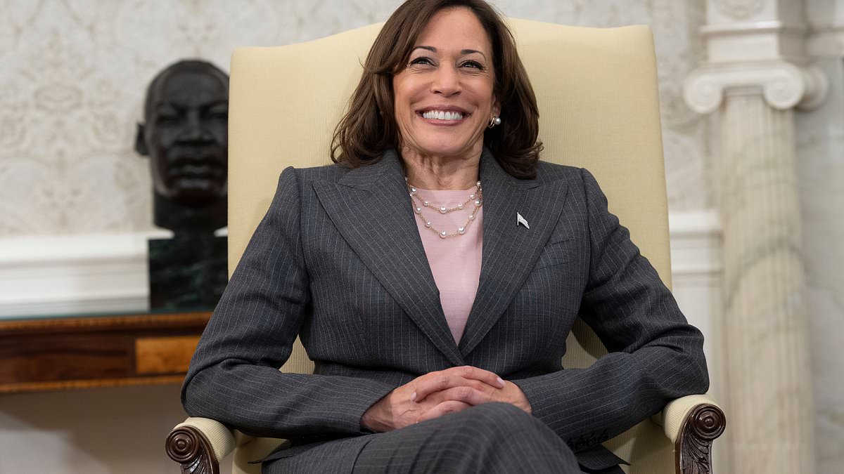 alert-–-how-seven-of-kamala-harris’-most-controversial-policies-could-impact-you…-if-she-introduces-them-again-during-her-run-for-president