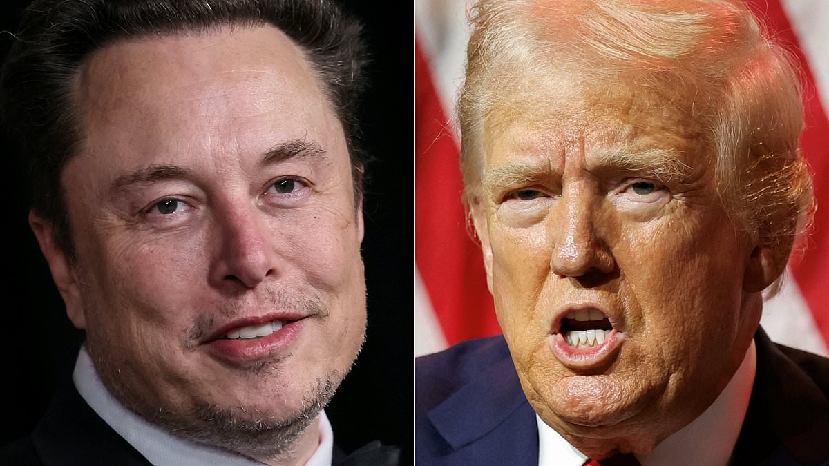 alert-–-trump-and-musk-live:-x-interview-finally-gets-underway-40-minutes-late-after-‘cyber-attack’-as-donald-tells-giggling-elon-being-shot-was-‘not-pleasant’-in-bizarre-discussion