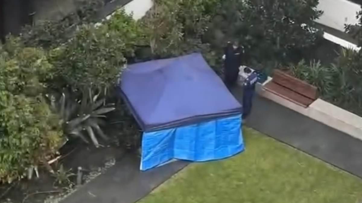 alert-–-burwood-unit-stabbing:-major-update-after-woman-and-her-partner-were-found-dead-in-suspected-murder-suicide