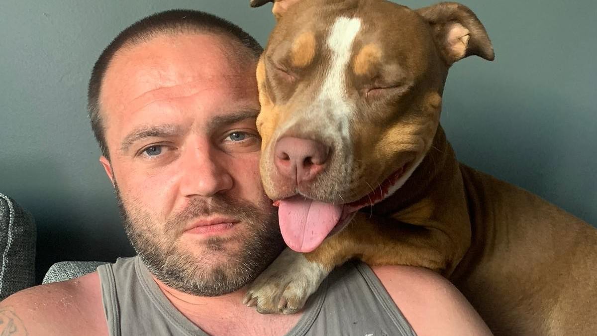 alert-–-dog-owner-arrested-over-unrelated-allegation-returns-home-to-find-bullet-holes-and-blood-after-his-two-pets-were-shot-dead-by-police