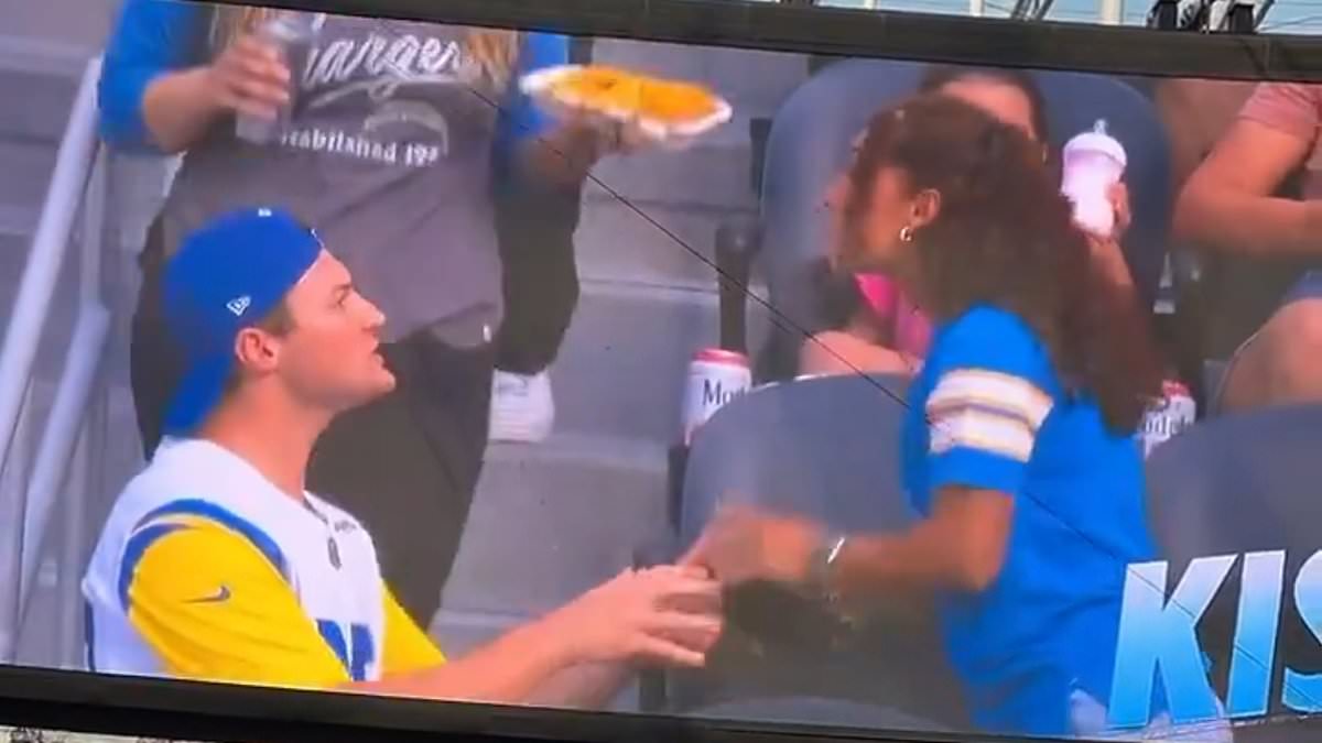 alert-–-brutal-moment-rams-fan-proposes-in-front-of-thousands-on-kiss-cam-only-to-get-rejected-and-have-nachos-thrown-over-him-–-but-is-all-as-it-seems?