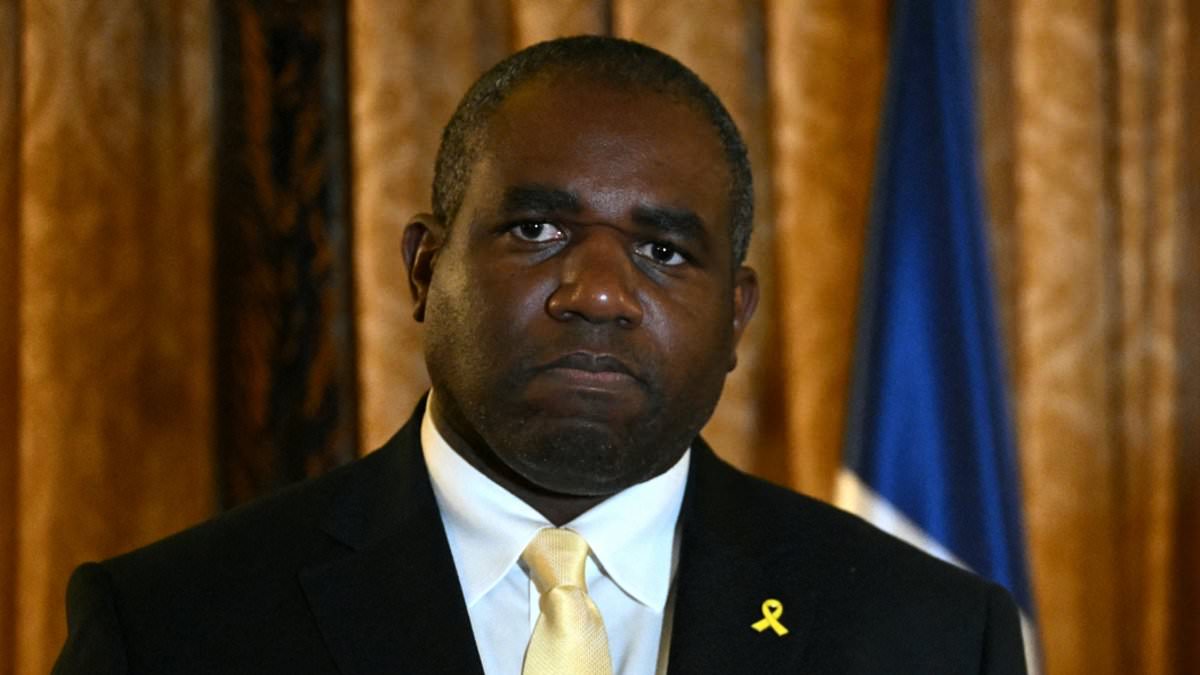 alert-–-foreign-secretary-david-lammy-under-fire-for-removing-pin-badge-of-solidarity-with-israeli-hostages-during-meeting-with-palestinian-premier