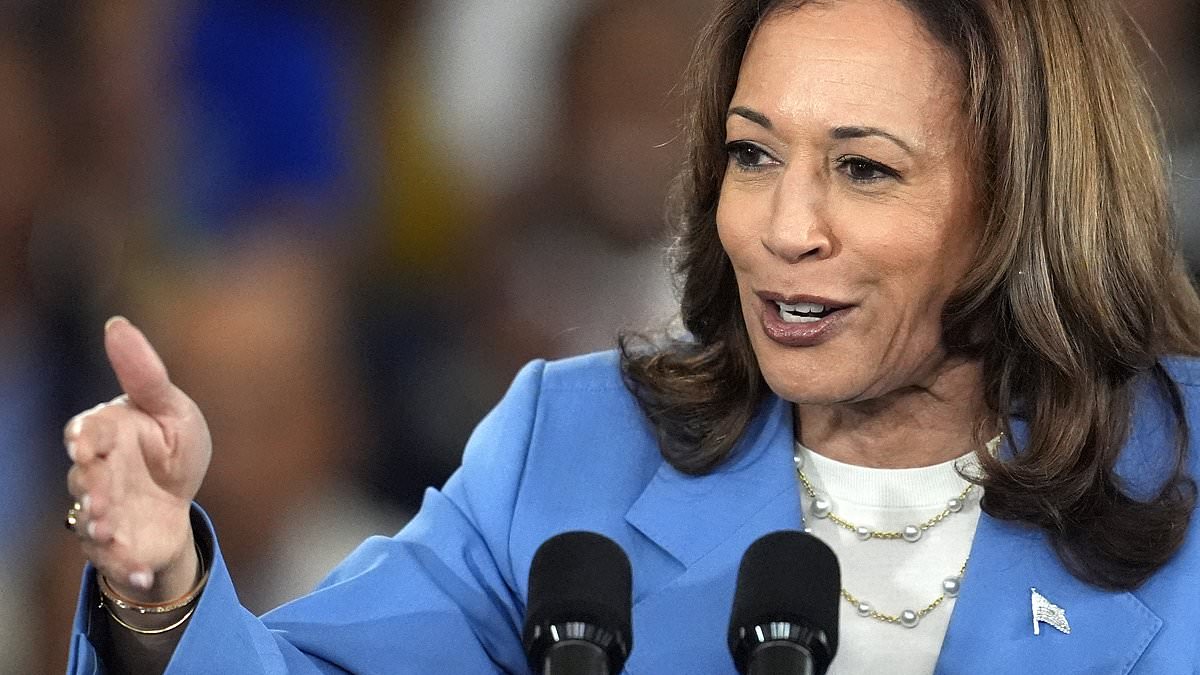 alert-–-the-bombshell-story-that-hurts-kamala-harris-most-with-swing-voters-and-could-implode-her-campaign-–-and-it’s-not-what-you-think