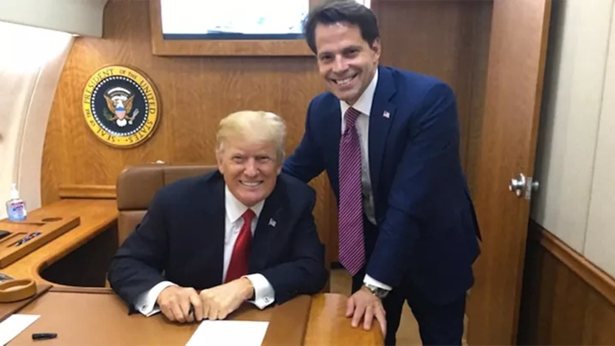 alert-–-former-trump-staffer-anthony-scaramucci-reveals-the-very-insulting-reason-he-thinks-trump-will-lose-election,-as-fox-news-analyst-sounds-alarm