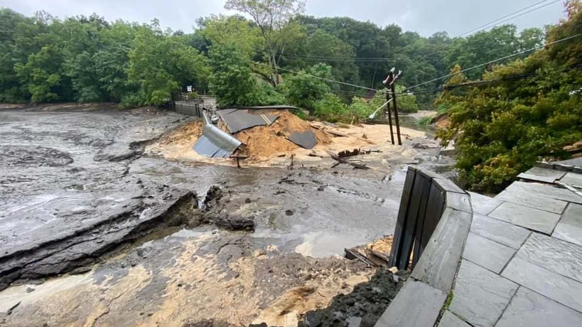 alert-–-connecticut-flash-floods:-amputee-and-dog-are-rescued-from-sinking-car-–-as-one-person-dies-in-summer-storms-battering-east-coast-and-causing-chaos-at-nyc-airports