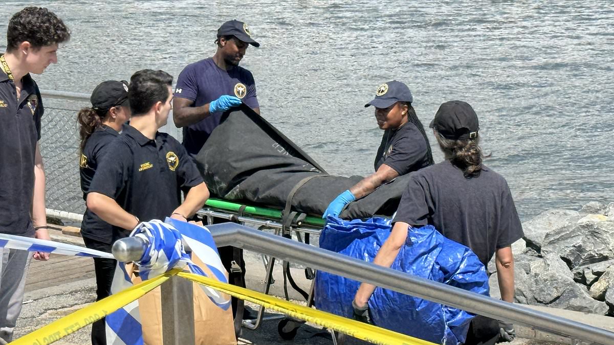 alert-–-summer-horror-as-body-is-pulled-from-east-river-in-front-of-shocked-children-at-famous-nyc-carousel