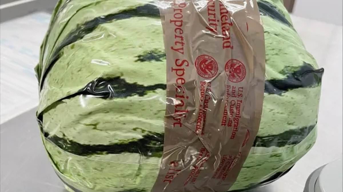 alert-–-fake-watermelons-used-to-smuggle-five-million-dollars-worth-of-drugs-fool-absolutely-no-one