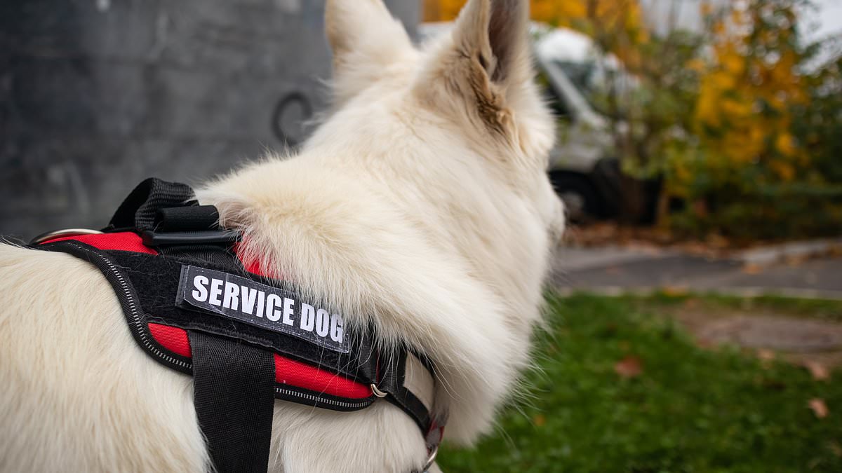 alert-–-police-officer-given-green-light-to-take-his-force-to-discrimination-tribunal-after-he-was-ordered-not-to-bring-his-dog-to-work