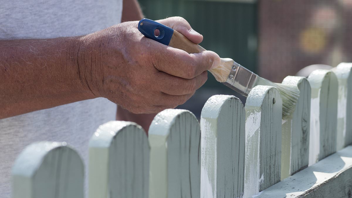 alert-–-i’m-a-fence-expert…-here-is-what-to-do-if-a-nightmare-neighbour-paints-their-side