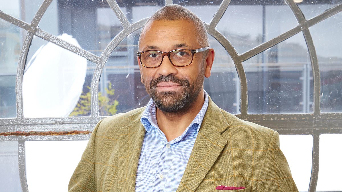 alert-–-james-cleverly-pays-tribute-to-his-‘inspirational’-wife-after-breast-cancer-fight-–-and-says:-‘susie-has-been-through-hell-and-back.-if-she-didn’t-want-me-to-run-for-leader,-i-wouldn’t!’