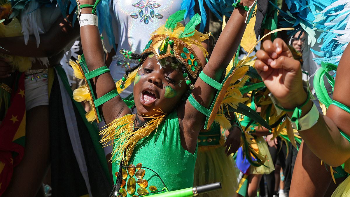 alert-–-notting-hill-carnival-is-‘the-ultimate-in-two-tier-policing’,-ex-inspector-claims:-thousands-of-officers-to-hit-the-streets-on-‘family-day’-in-wake-of-riots-as-pubs-and-homes-board-up