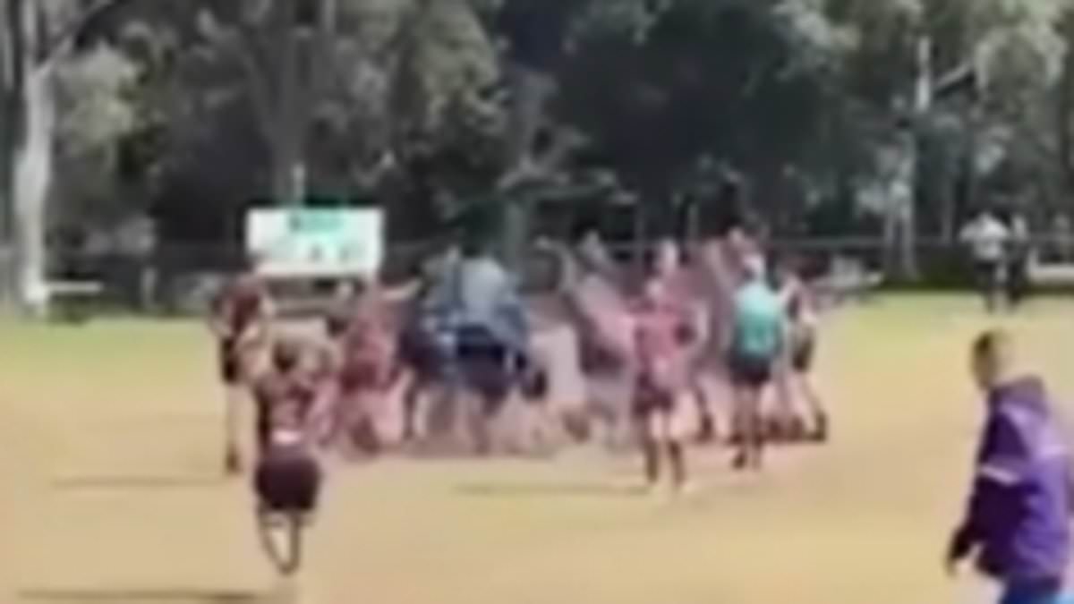 alert-–-bankstown-balls-v-cabramatta:-wild-brawl-erupts-between-opposing-spectators