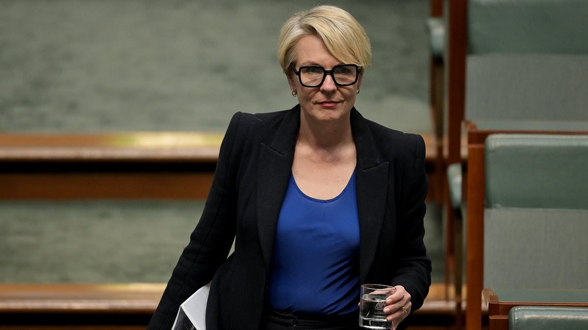 alert-–-federal-environment-minister-tanya-plibersek-accused-of-‘rewriting-history’-over-mcphillamys-gold-mine-decision-at-blayney-in-nsw-after-she-was-slammed-for-taking-advice-from-indigenous-elder