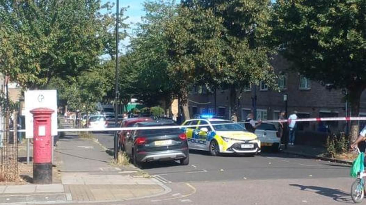 alert-–-man-in-a-wheelchair-in-his-30s-is-stabbed-to-death-in-a-london-street-in-broad-daylight,-as-air-ambulance-crews-battle-in-vain-to-save-him-and-police-arrest-two-people