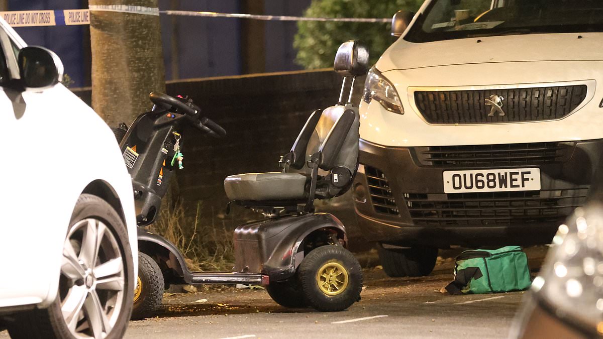 alert-–-sister-of-man,-38,-stabbed-to-death-with-a-‘machete’-while-riding-his-mobility-scooter-along-east-london-street-pays-tribute-to-‘cheerful-and-caring’-brother-who-‘never-took-nothing-too-seriously’