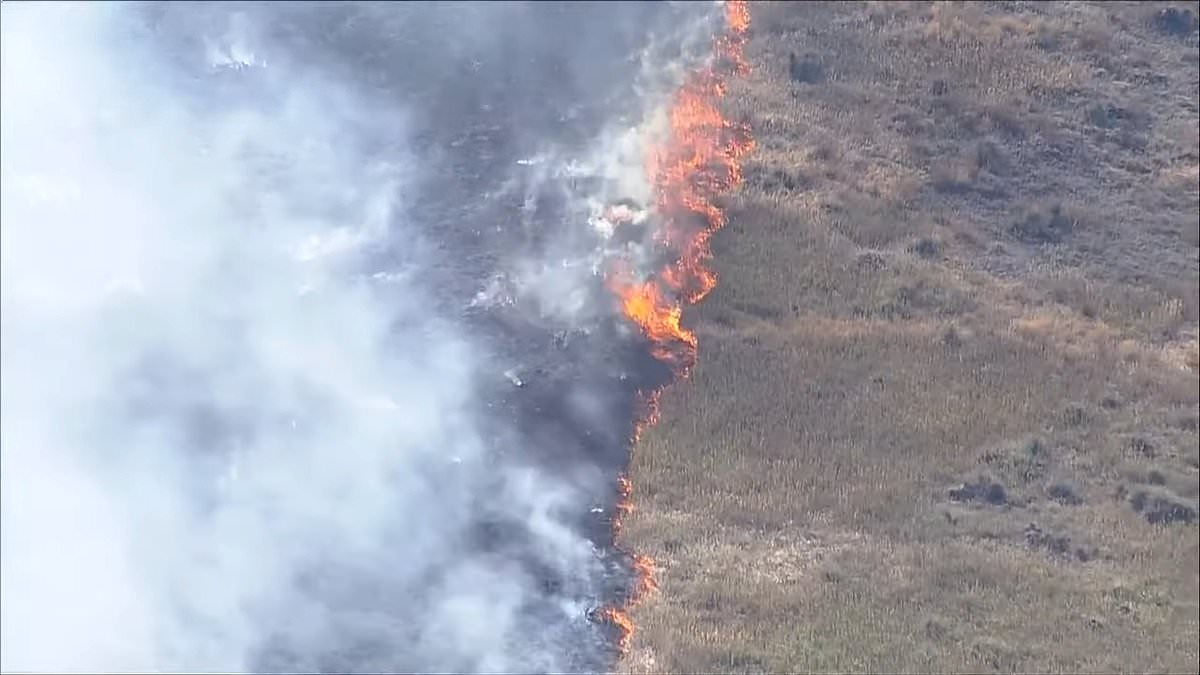 alert-–-strange-cause-of-colorado-wildfire-that-torched-16-acres-of-land-is-revealed