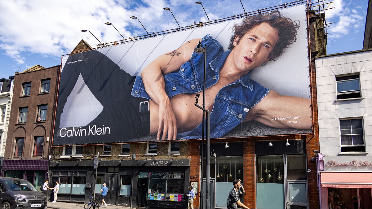 alert-–-would-you-want-to-live-behind-this?-row-over-‘illegal’-jeremy-allen-white-billboard-covering-windows-of-three-properties-in-hackney