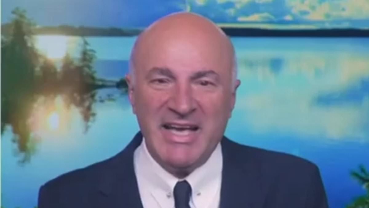 alert-–-shark-tank’s-kevin-o’leary-makes-kamala-harris-surprising-offer-after-her-cnn-interview:-‘please-let-me-do-it’