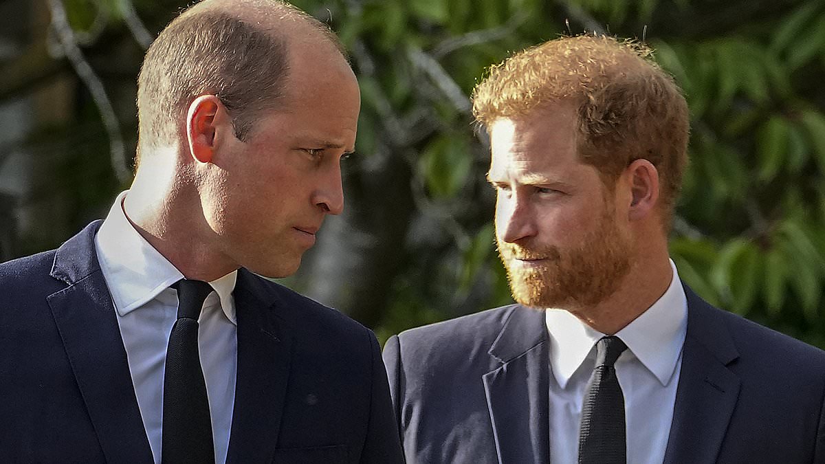 alert-–-duke-of-sussex-asks-former-aides-to-help-plot-return-from-his-us-exile-in-first-stage-of-‘rehabilitation’-strategy:-prince’s-friends-vow-to-help-smooth-path-back-and-dub-it-‘operation-bring-harry-in-from-the-cold’