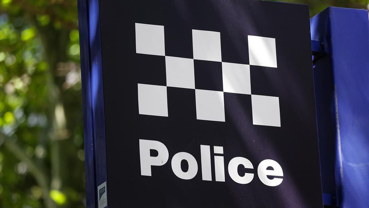 alert-–-teenage-boy-charged-with-terror-offences-over-plot-to-attack-brisbane-school