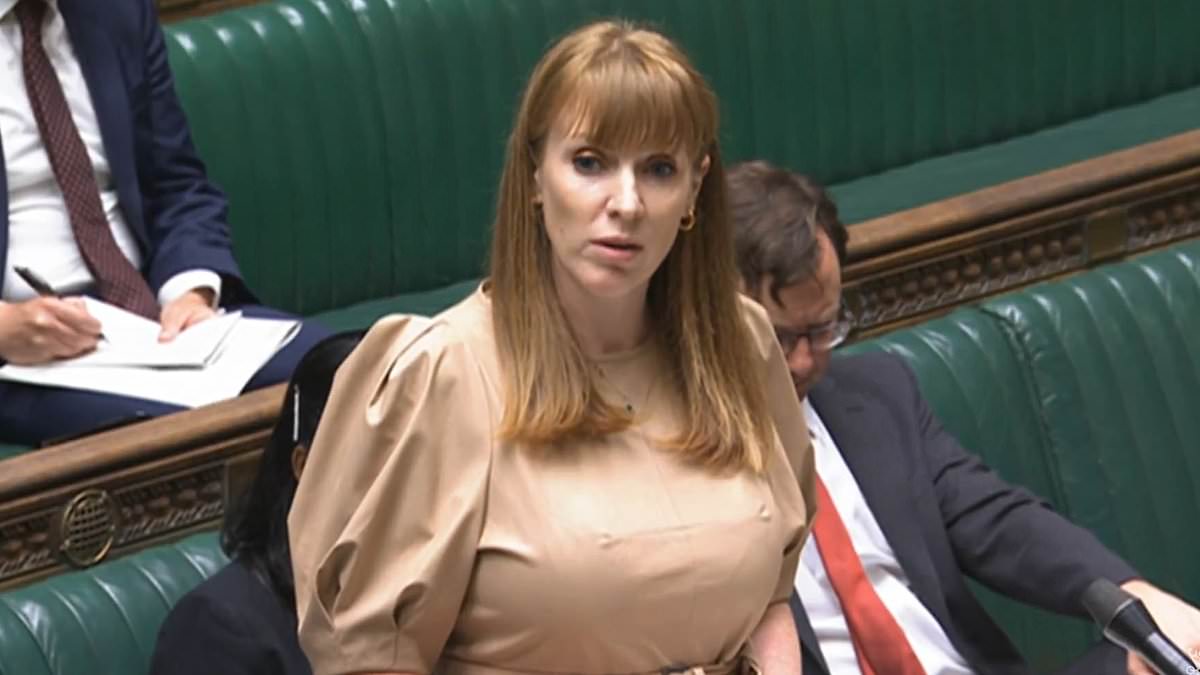 alert-–-anger-as-angela-rayner-refuses-to-rule-out-scrapping-council-tax-exemption-for-people-living-alone