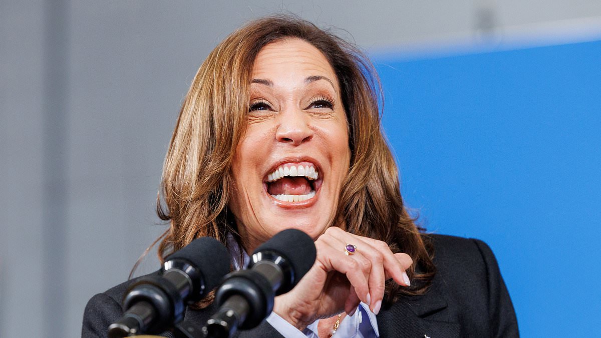 alert-–-inside-final-nine-weeks-of-2024-race:-what-the-trump-and-harris-campaigns-will-focus-on-with-63-days-until-election-day