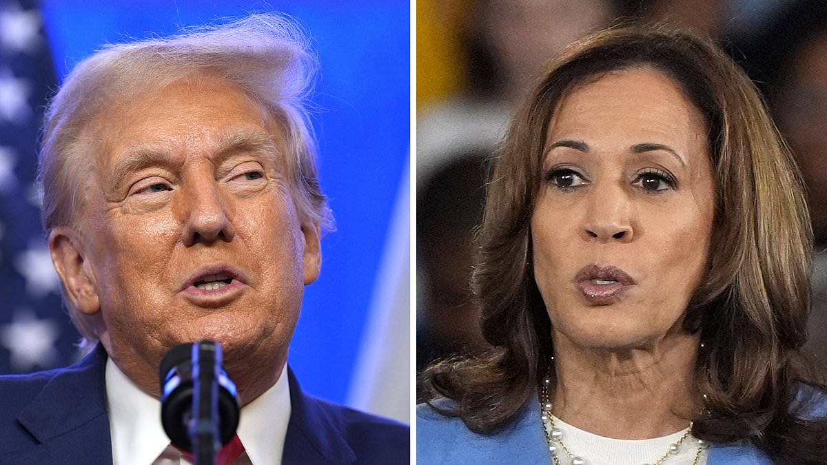 alert-–-presidential-election-2024:-polls-show-where-donald-trump-and-kamala-harris-have-the-edge-in-the-swing-states