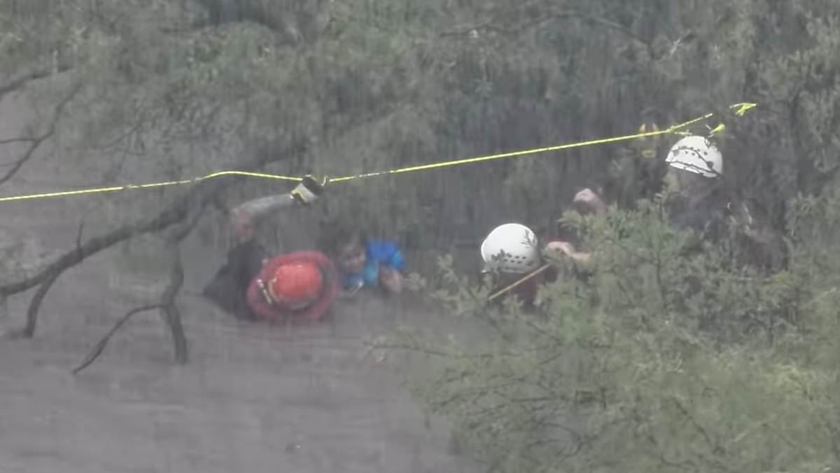 alert-–-dramatic-footage-shows-stranded-texans-clinging-to-trees-after-car-is-swept-away-in-flood