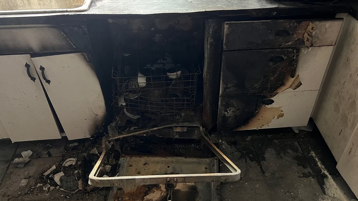 alert-–-our-dishwasher-burst-into-flames-and-burnt-our-kitchen-down-after-we-made-a-common-mistake-almost-everyone-is-guilty-of