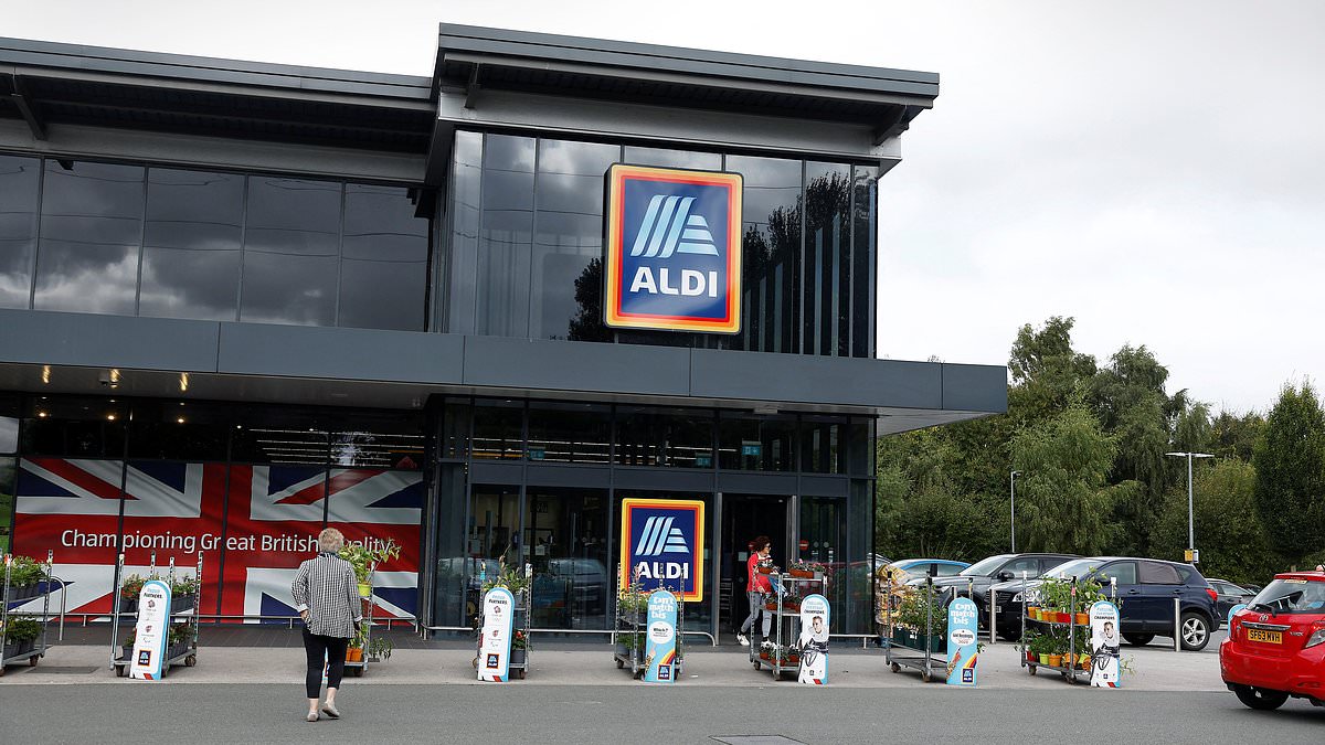 alert-–-aldi-reveals-plans-to-open-23-new-stores-this-year-as-part-of-800m-expansion