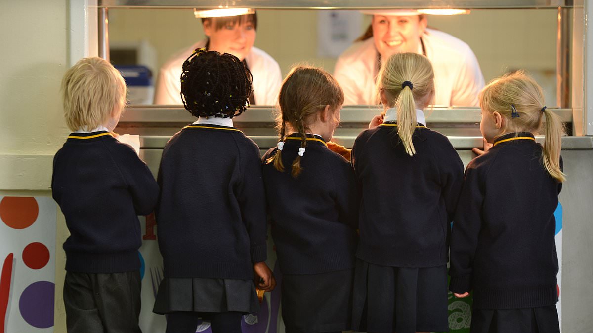 alert-–-scrapping-free-school-meals-for-all-primary-pupils-branded-‘shameful’