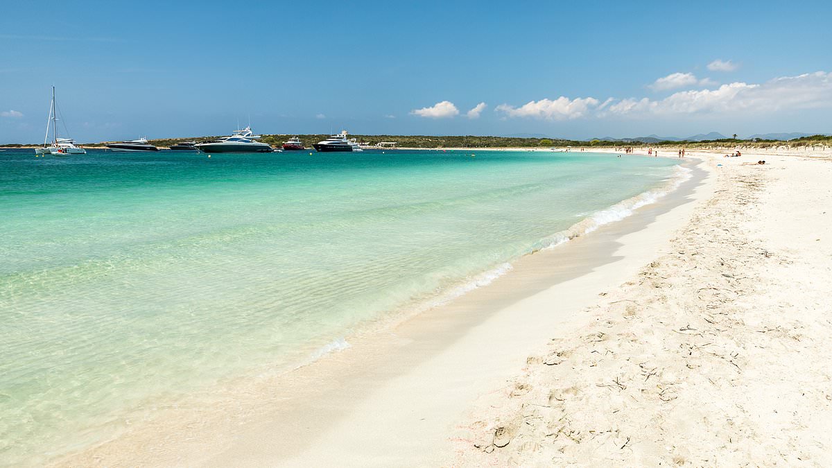 alert-–-british-man,-70,-is-airlifted-to-hospital-on-spanish-holiday-island-in-‘critical-condition’-after-being-pulled-from-the-sea-by-lifeguards-performing-cpr