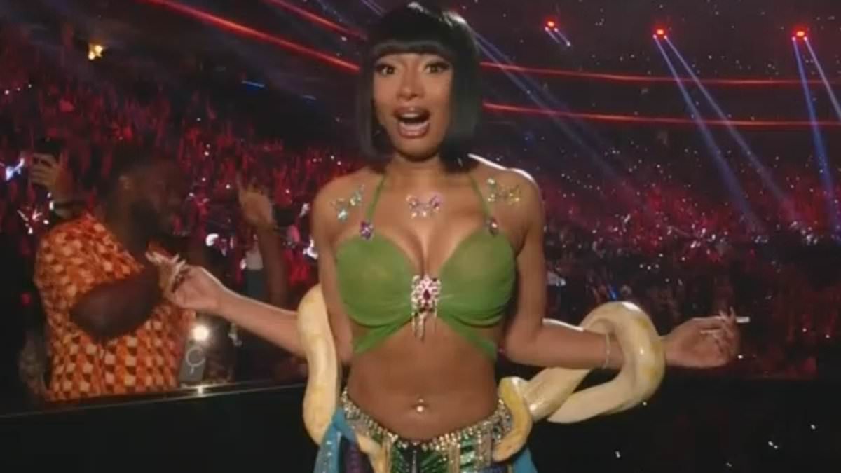 alert-–-megan-thee-stallion-freaks-out-when-snake-slithers-around-her-crotch-as-she-recreates-britney-spears’-iconic-moment-at-2024-mtv-vmas