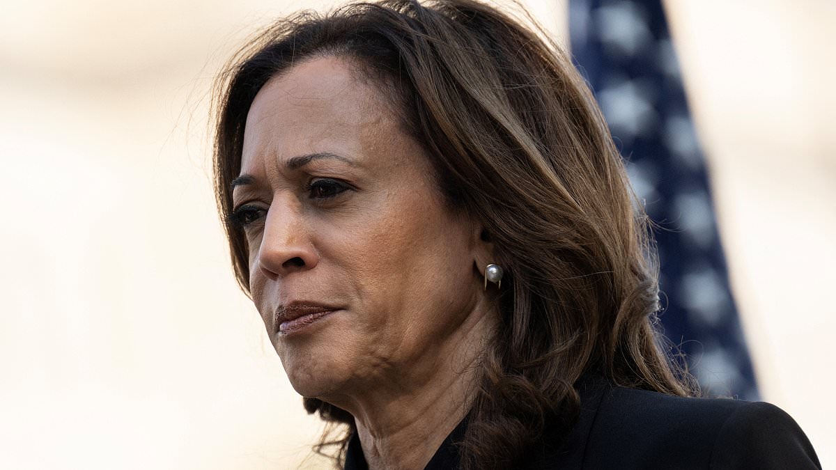 alert-–-new-poll-reveals-kamala-harris-may-have-the-lowest-support-from-a-key-voter-group-in-36-years