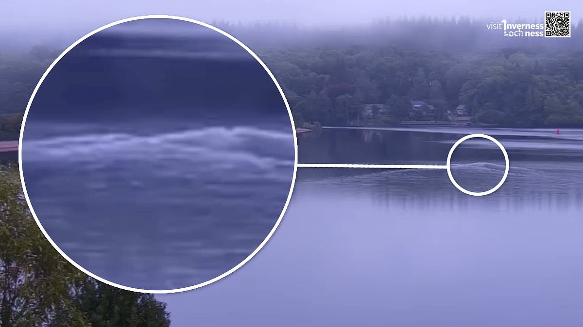 alert-–-it’s-the-loch-ness-sister!-legendary-scottish-water-myth-may-have-a-sibling,-monster-hunter-believes-after-capturing-footage-of-pair