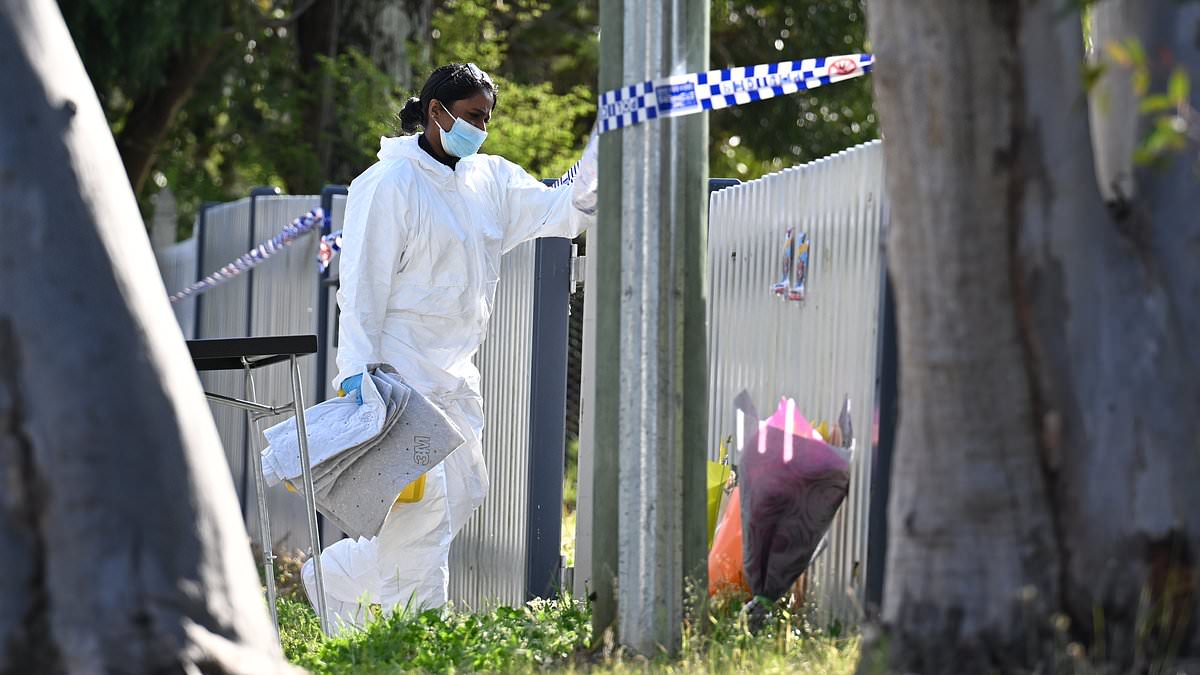 alert-–-grim-new-details-emerge-of-troubled-mum’s-mental-health-battles-before-her-two-boys-were-stabbed-to-death-in-their-beds-in-the-blue-mountains