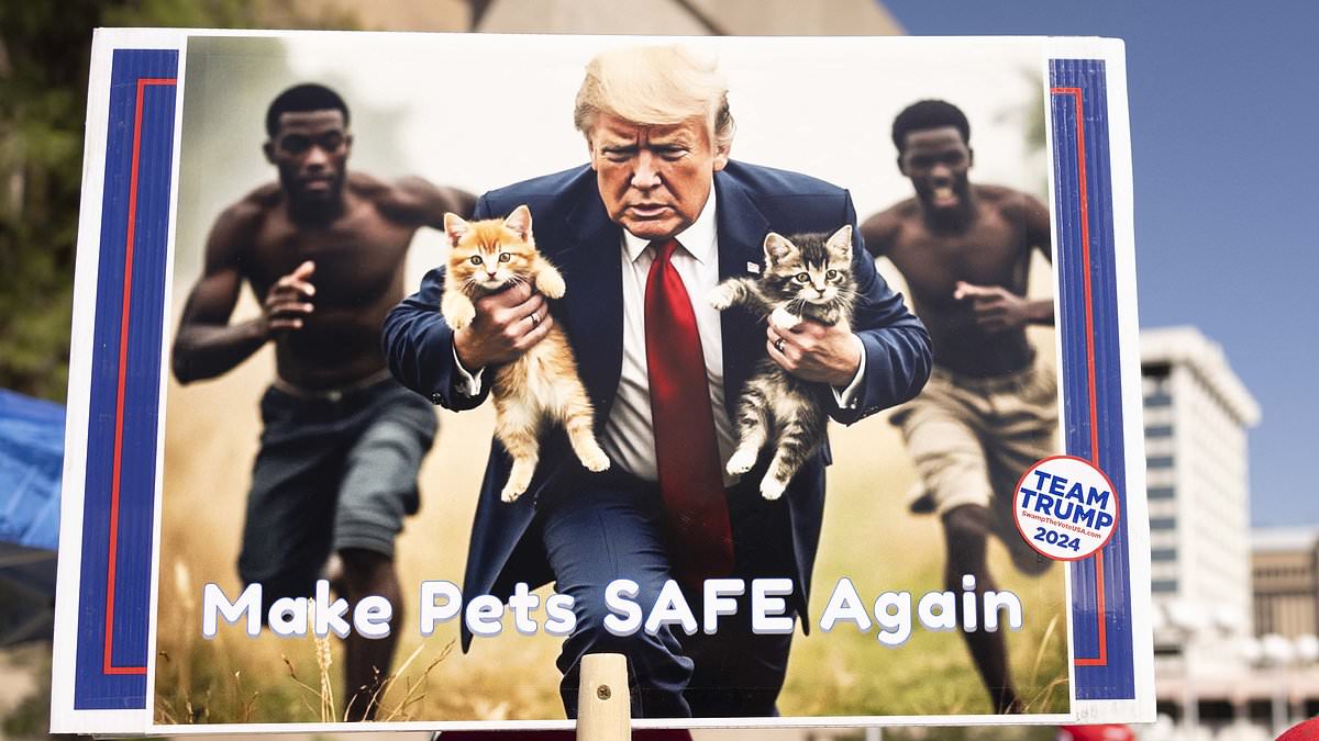 alert-–-so-what-is-the-truth-about-the-city-where-trump-claims-migrants-are-eating-the-pet-cats-and-dogs?-greg-woodfield-visits-springfield,-ohio,-to-find-neo-nazis-are-marching,-residents-in-utter-despair-–-and-even-talk-of-gun-battles-breaking-out…