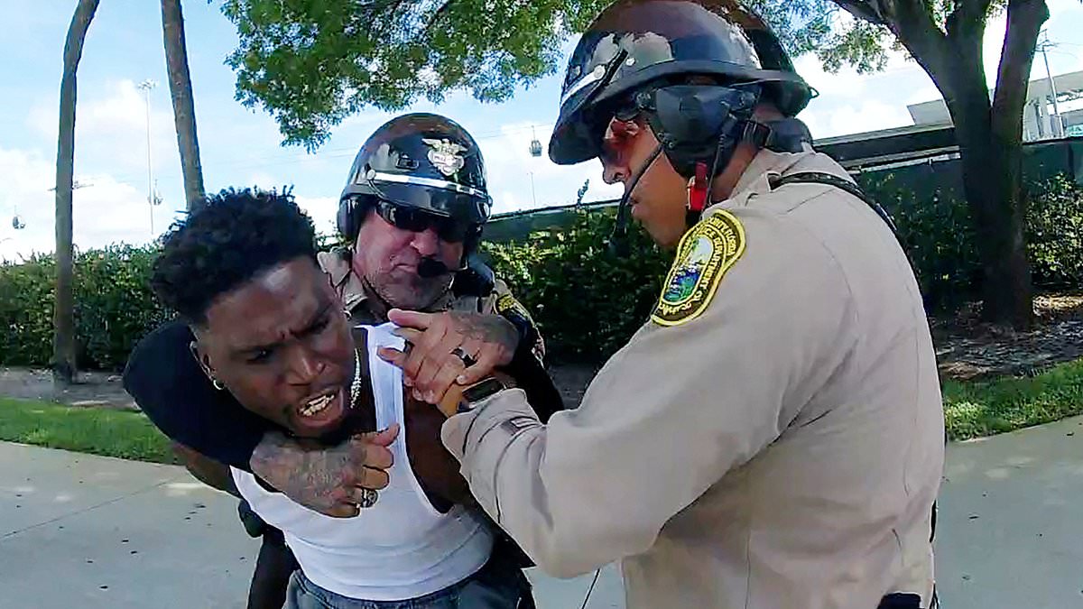 alert-–-revealed:-cop-who-threw-tyreek-hill-to-the-ground-and-cuffed-him-has-been-suspended-‘multiple-times’-before-for-excessive-force