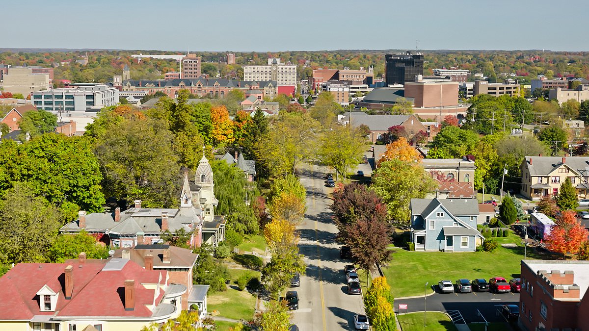 alert-–-ohio-woman-who-sparked-rumors-about-haitian-migrants-eating-pet-cats-and-dogs-in-springfield-breaks-her-silence-amid-‘fears-for-her-safety’