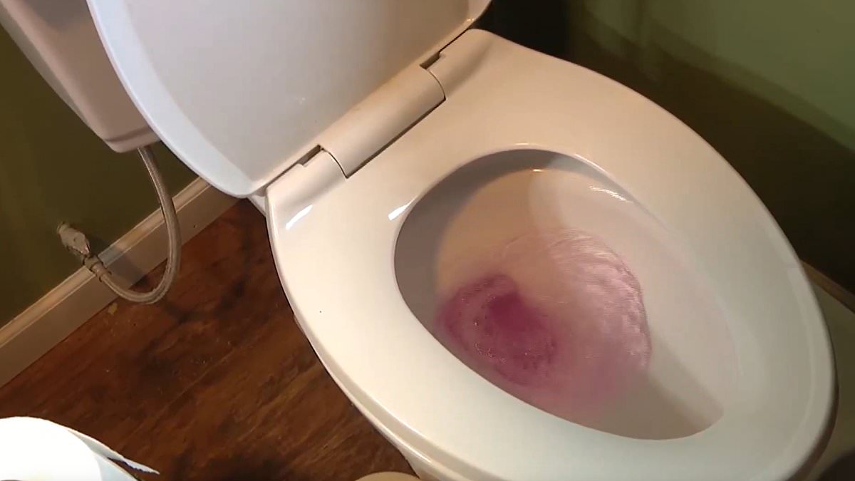 alert-–-from-toilets-to-taps,-this-town-has-been-beset-by-flamingo-pink-water