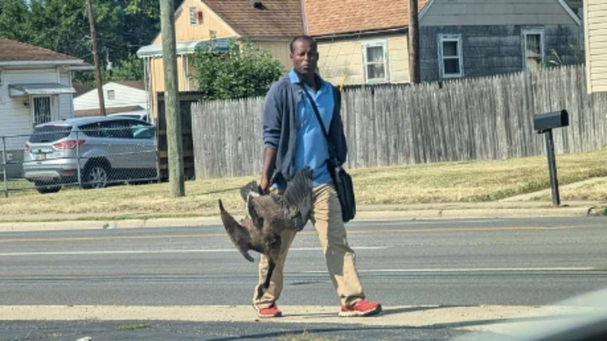 alert-–-ohio-wildlife-officials-reveal-details-behind-shock-photo-of-man-dragging-dead-geese-through-streets