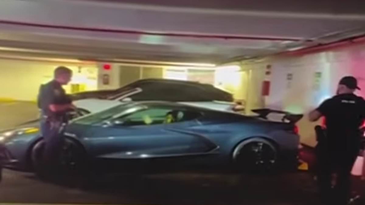 alert-–-incredible-moment-bungling-corvette-thief-begs-owner-for-help-after-getting-instant-karma