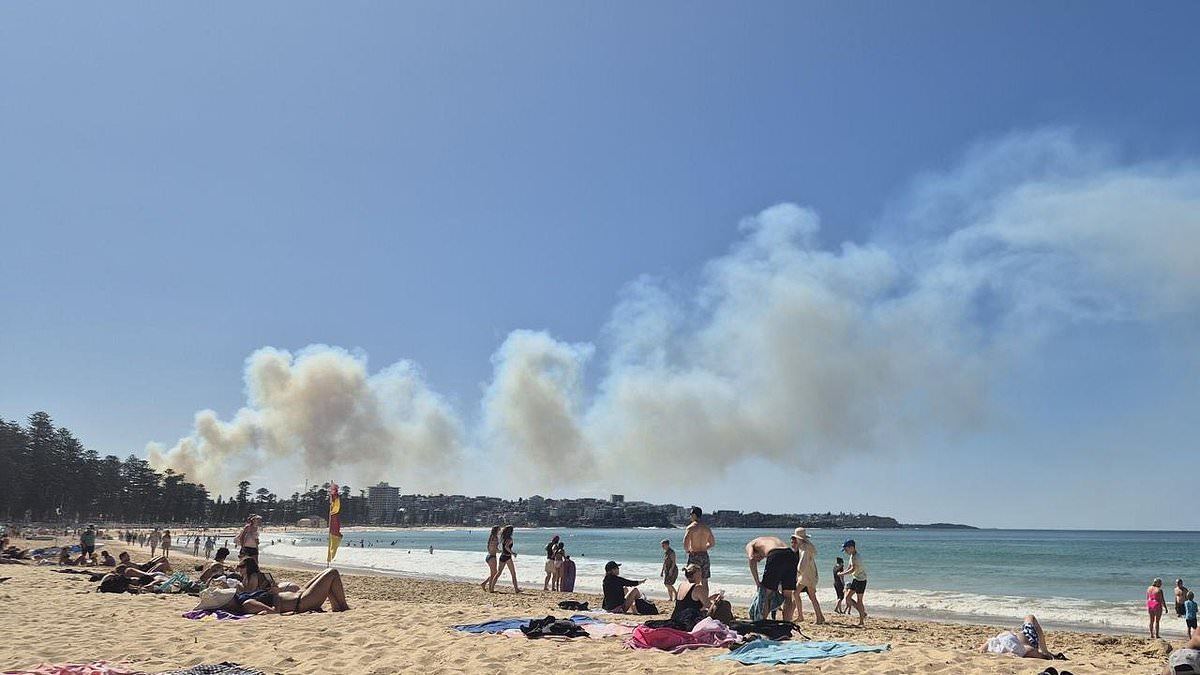 alert-–-huge-out-of-control-bushfire-rips-through-sydney’s-northern-beaches-as-residents-are-warned-to-evacuate-now-–-and-others-are-told-‘it’s-too-late-to-leave’